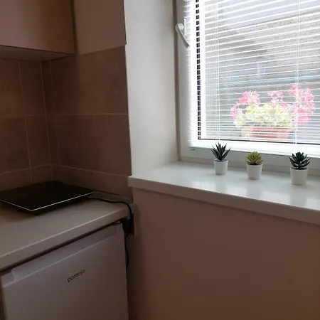 Tanja Sobe Apartment